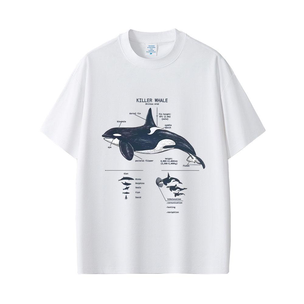 Marine Animals Killer Whale Anatomy Graphic Tshirt Mens Womens Casual Funny T Shirts Tops Unisex Fashion Oversized Streetwear