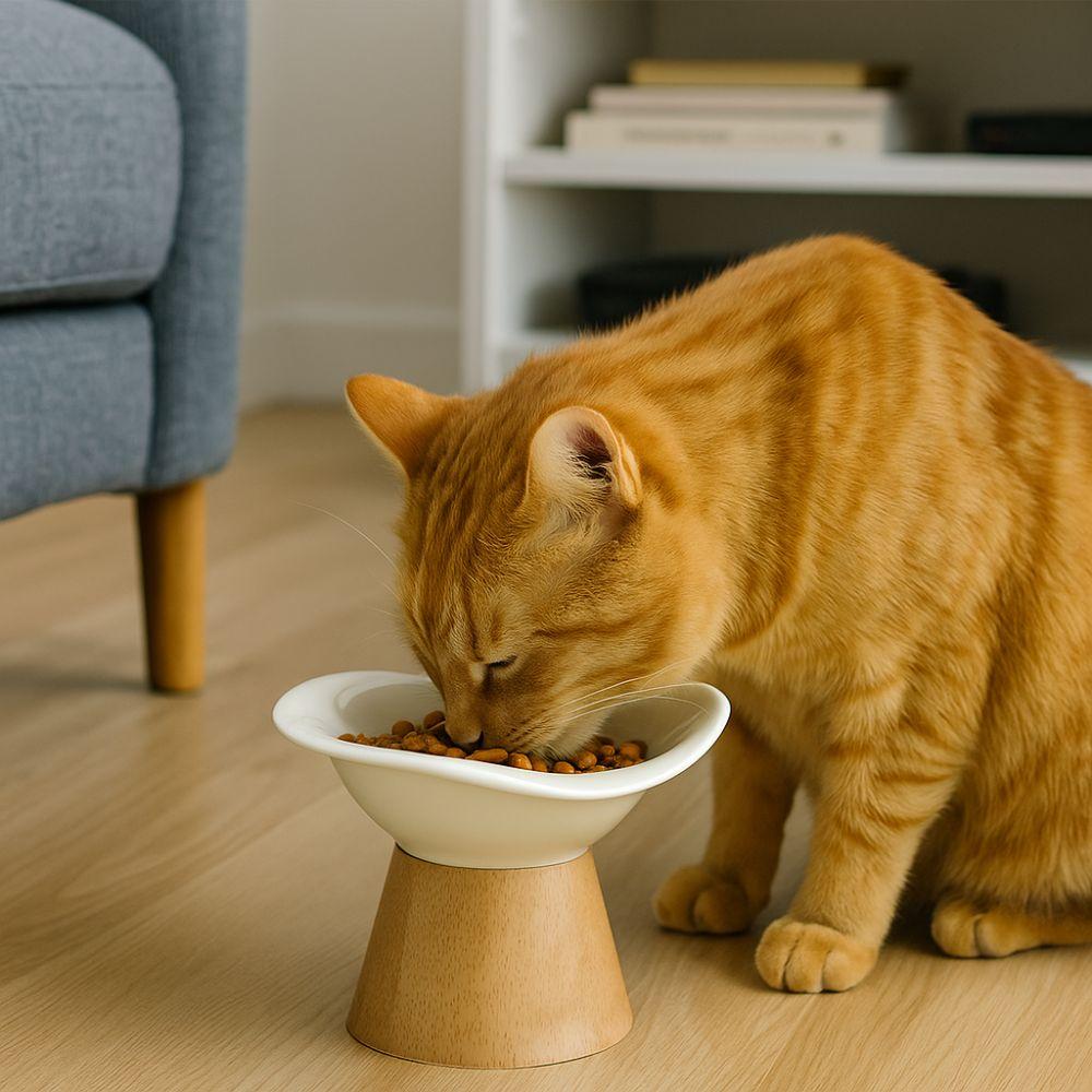 Ceramic Pet Cat Bowl Neck Protection Spill Proof Bowl Dog High Foot Bowl Pet Supplies