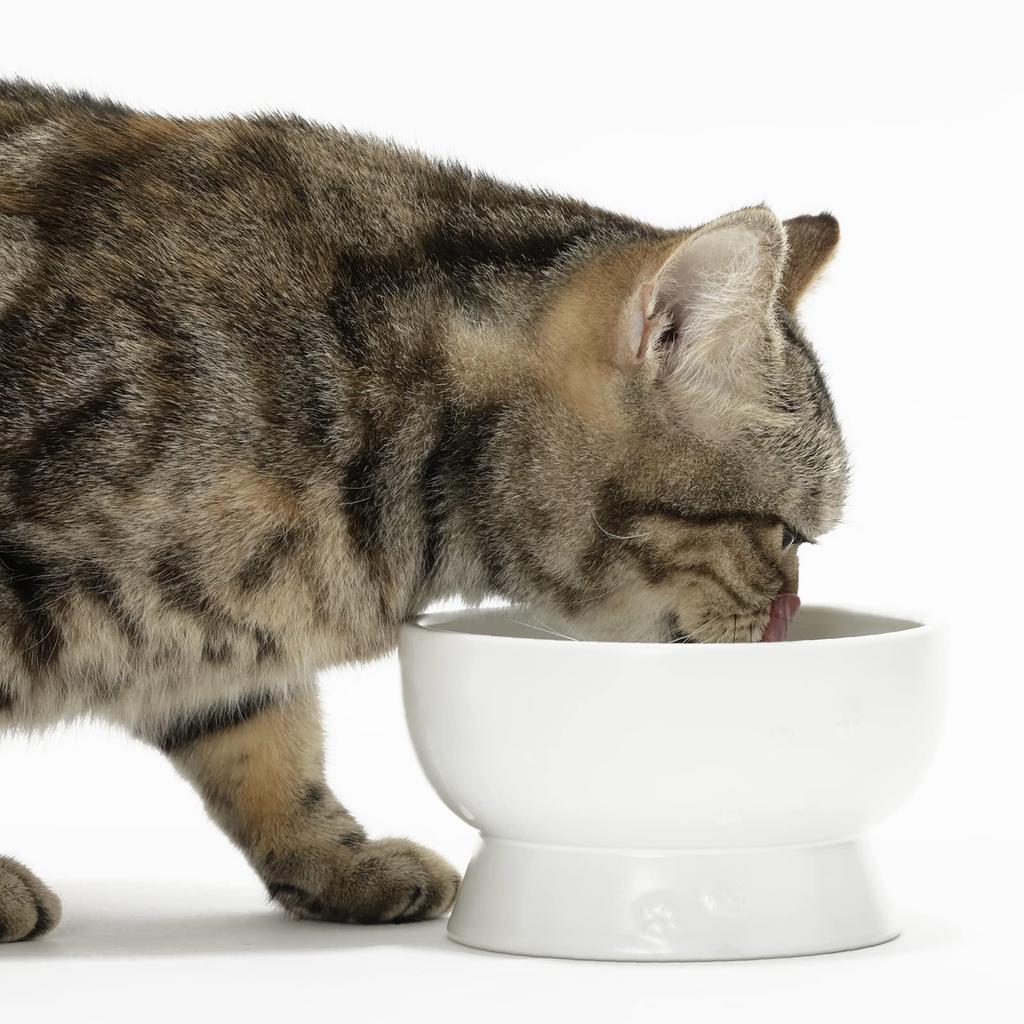 Miska dla kota Nekoichi z nogami, Mino Ware, wyprodukowana w Japonii (Biały, Woda), Można używać w kuchence mikrofalowej i zmywarce