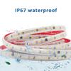 220V 230V AC SMD2835 IP67 LED Strip Light 120LEDs/m Flexible Ribbon Warm Cold White Linear Lighting Outdoor Garden Decoration