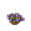 Artificial Flower Hanging Basket with Bow-shaped Decoration, Iron-wrought Hanging Pot for Green Plants, High-quality Artificial Flowers
