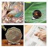 60X Handheld Magnifying Glass MiniPocket UV Magnifier Portable jewelerMicroscope Loupe With LED Light