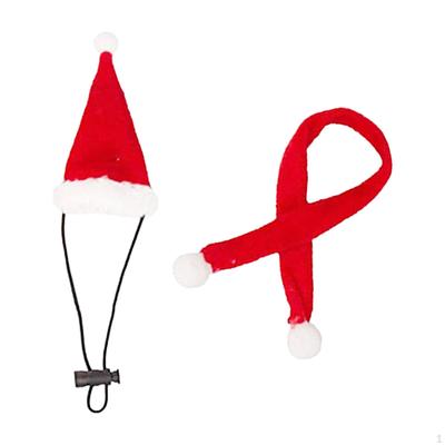 Weihnachtsmütze und Schal Set für Bartagamen