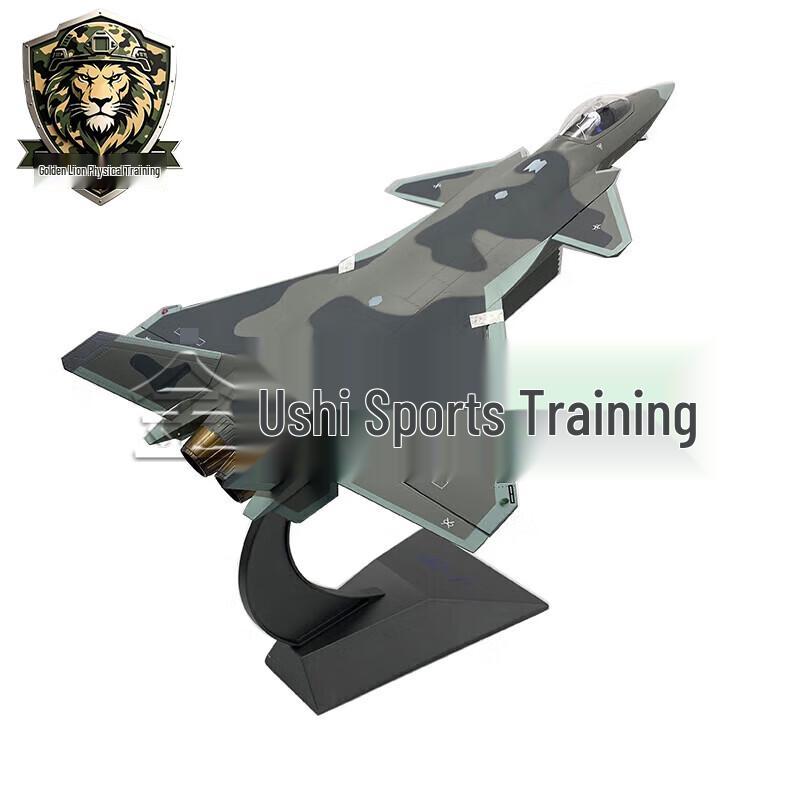 J-20 Fighter Jet Alloy Model