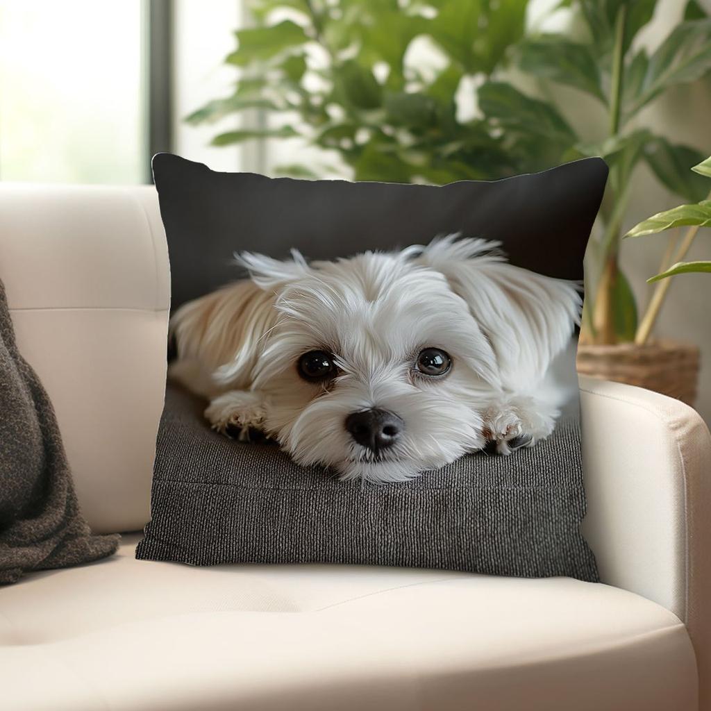 1 Stück Liegender Malteser Hund Druck Kissenbezug, Geeignet für Sofa, Schlafzimmer, Wohnzimmer, Ein heilsames Geschenk für Hundeliebhaber