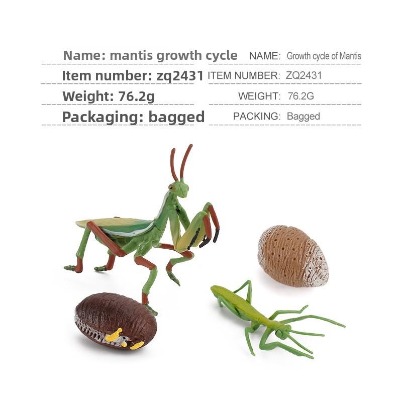 Realistic Pvc Insect Bees Spiders Model Set For Science Education And Collection Display