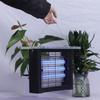 Menaj și curățenie – Împotriva insectelor