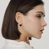 Ladies' Love Zircon Earrings