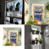 Transparente Acryl-Fenster-Pflanzenregale 2/3 Schichten Klar Hängend Schwebend Wandregal Blumentopfständer Pflanzgefäßständer Top-Angebot