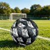 1pc Horse Dream Fantasy Art Theme Soccer Ball Football, Size 5, Lightweight PVC, Outdoor Training Soccer Ball,Gift C6525