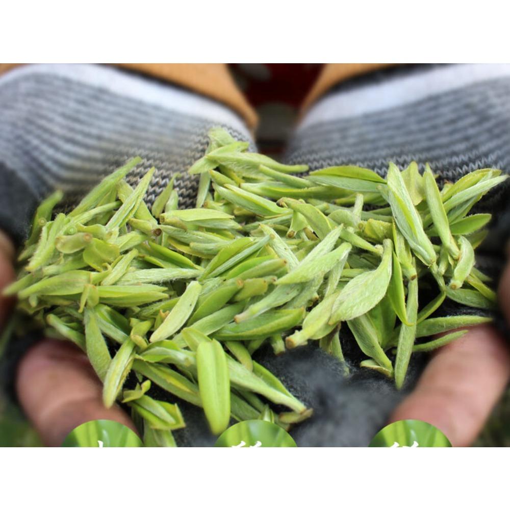 300g Fuding White Tea Cake Organic Chinese Silver Needle Loose Leaf Tea