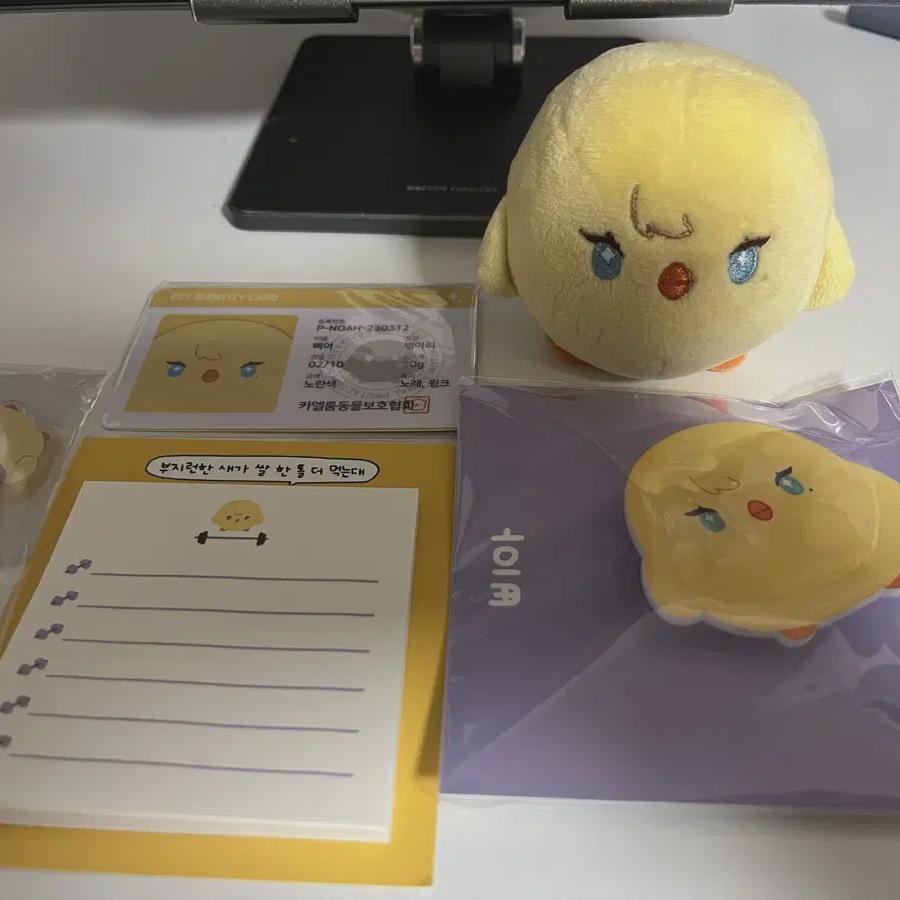 

Я кукла Plave Noah Pia