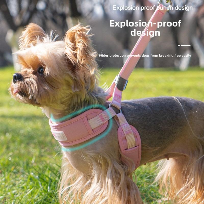 Teddy Dog Universal Leash, Anti-escape, No Neck Constriction, Lightweight Chest and Back Strap, Net Port Pet