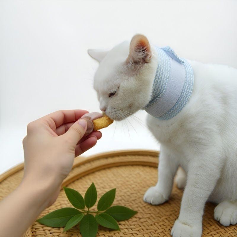 Breathable Dog Cats Recovery Collar Dog Cats Neck Brace Cover for Surgical Wound Protecting and Healing