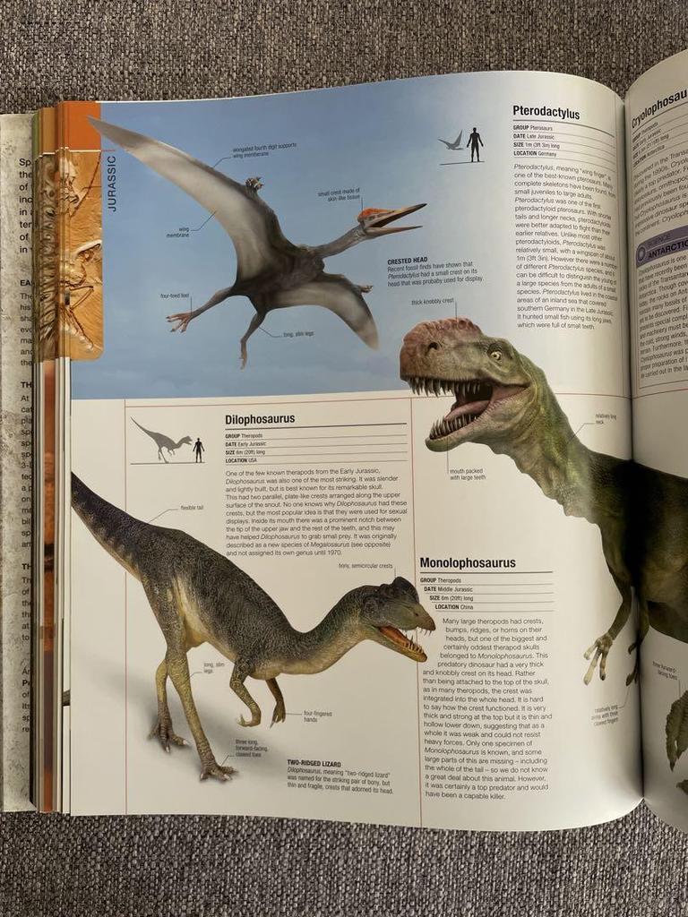 [USED] DK Foreign Books Hardcover PREHISTORIC Hardcover