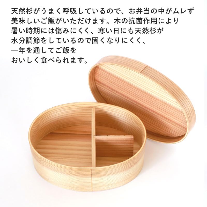 Miyoshi Lacquerware Honpo Magewappa Bento Oval Single Dishwasher and Microwave Made of Natural Suitable for and Perfect for Kanoryu Box, 700ml, Shape,
