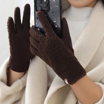 Women Winter Gloves Faux Lamb Wool Insulated Gloves For Driving Walking Hiking Fashionable Cold Protection