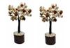 @ Gomti Chakra & Rudraksha Beads Tree For Home & Office 2 Pcs 190Gm Zr-3069-60%Off