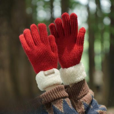 Thickened Velvet Knitted Gloves for Women In Autumn and Winter Outdoor Cycling Warm and Cold Proof Touch Screen Ski Gloves Trendy
