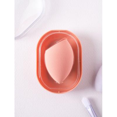 Daiso Blending Puff