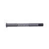 Front Thru Axle 100* 12mm-123mm M12 Black For Mountain Bike Road Bike