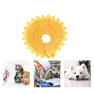 Cat Recovery After Neck Ring Sunflower Collar Cat Collar Beauty Cover Cat And Dog Photo Decoration