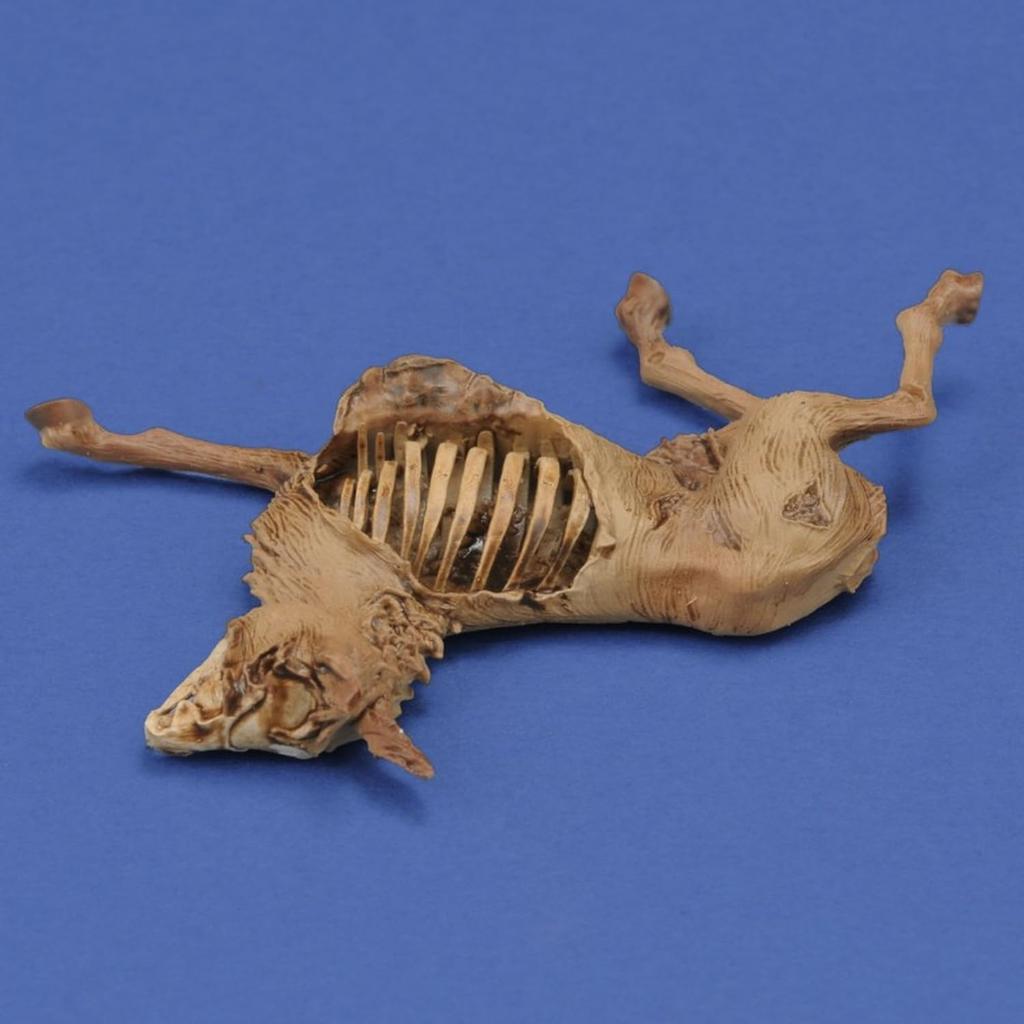 Royal Model Diorama Accessory Donkey Corpse Resin Kit RM1068 1/35 (Scenery)