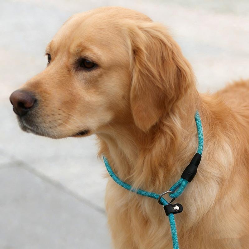 All In One Nylon P Chain Dog Training Collar Leash No Pull Anti Shock Quick Release Buckle Explosion Proof Walking Lead For Small Medium Large Pet