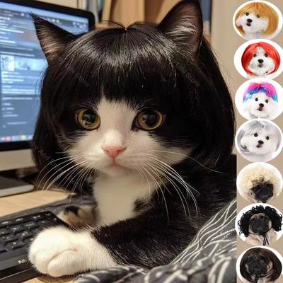 Pet Wig,Cat Cosplay Props Curly Straight Hair,Puppy Costumes Supplies,Dog Creative Cross-Dressing Photography,Funny Prank