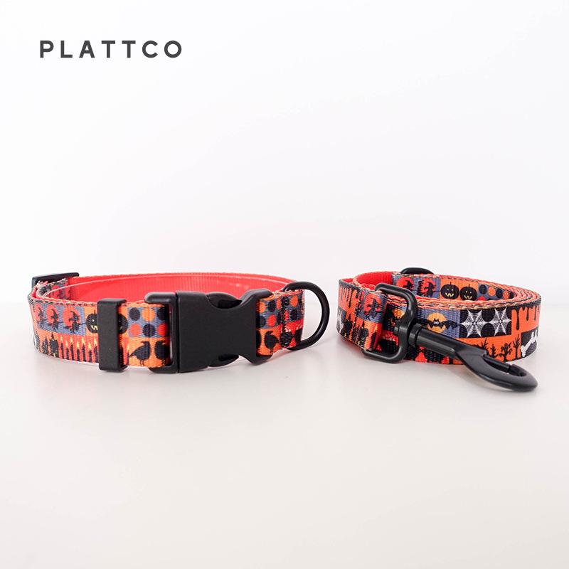 PLATTCO Festival Print Nylon Dog Leash & Collar (PDC339) XS