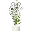 Pflanzstäbe Kletterhilfe Rankgitter Blumenständer Käfig Baum Gartenpflanzenstütze Pflanzenpflege Für Pflanzenwachstum