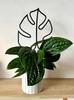 Podpora do roślin pnączy podpórka kwiatów pnących drabinka monstera m 32 cm