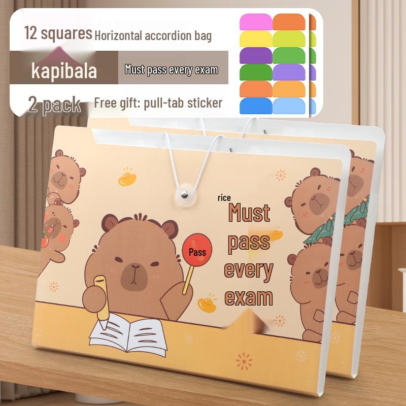 Accordion Bag 5250: Junior High Student Handheld Storage Folder