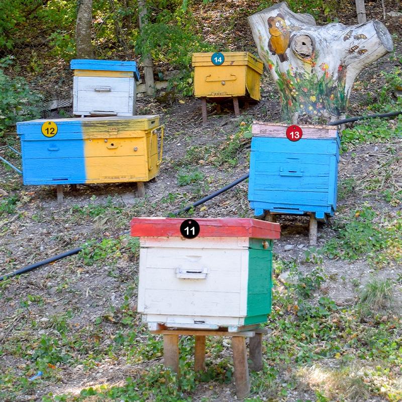 10/20/50/100Pcs Numbered Sign Labels Beehive Tags Garden Box Mark With Hole Plant Markers Bee Hive Mating Box Mark Garden Tools