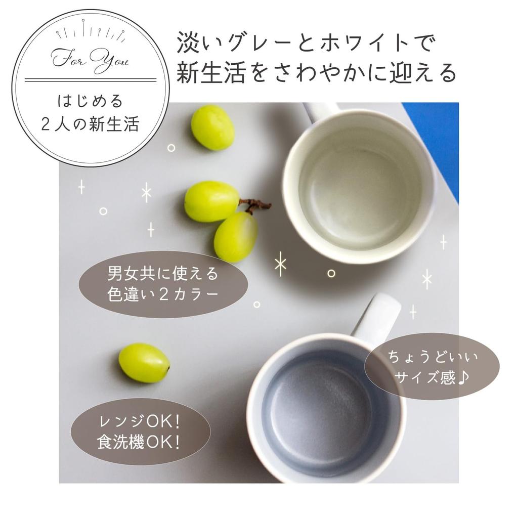 Aito Seisakusho Keramik Mino Ware Living Living mit weißer Spülmaschinen-Mikrowellen-Mischung Made in Japan "Ciel" Becher, Paar, Allein, Zwei, & Grau, Safe, Safe,