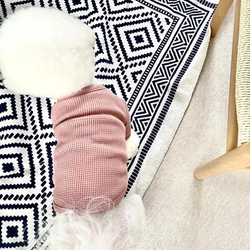 Pet Dog Shirt for Small Dogs Fashion Dog Clothes Spring Puppy Pullovers Cute Solid Cat Bottoming Shirt Pet Sweatshirts Dog Vest