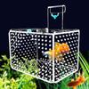 Wall Mount Fish Breeding Box Acylic Floating Hatching Box Fish Tank Isolation Box  for Fish Store