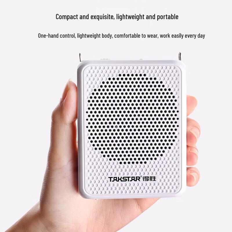 TAKSTAR E126W Tragbarer Drahtloser Verstärker