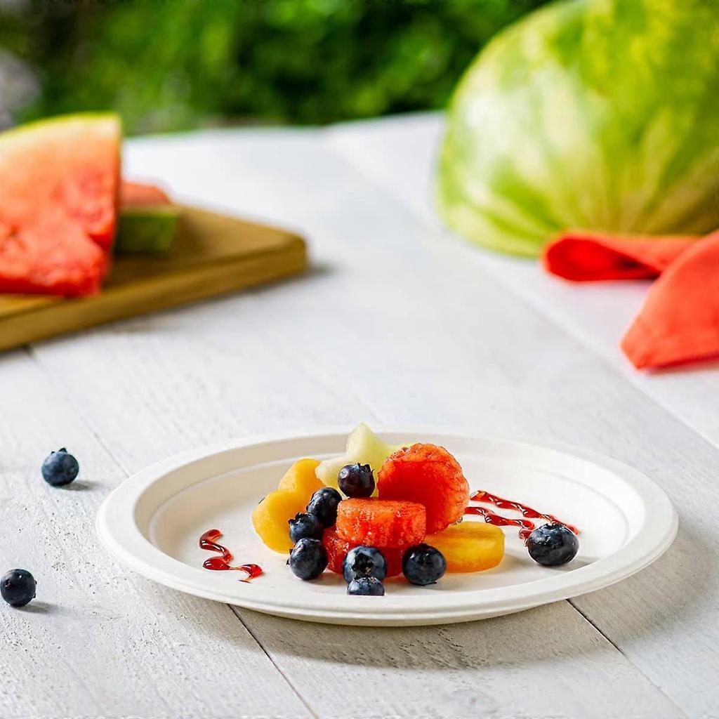 50 Pack Super Rigid Paper Plates,White Disposable Bagasse Sugarcane Plates, for Picnics, BBQ and Parties
