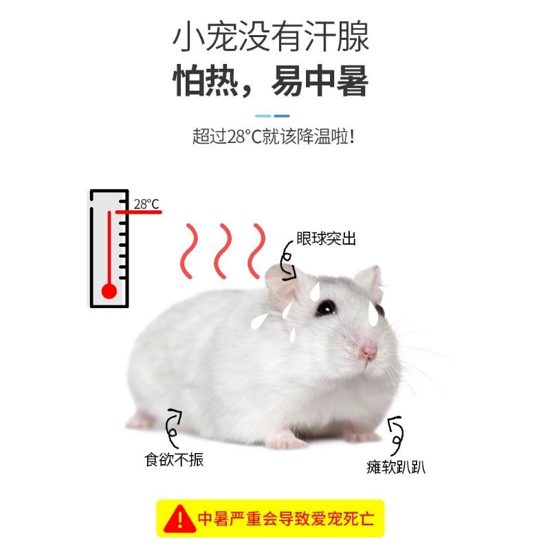 1PCS Hamster Cooling Board Summer Heat Cooling Blanket Guinea Pig Rabbit Dutch Pig Mat Pet Furniture Small Pet Accessories
