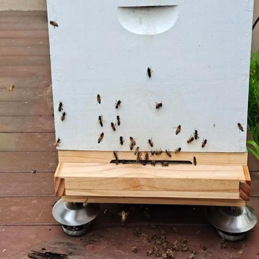Durable Ant-Proof Beehive Stand Feet Adjustable Stainless Steel Hive Feet Sturdy Hive Stand Beekeeping Accessories