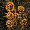 Halloween Lawn Decoration Sunflower Skull Ornament, Theme Garden Decor, Potted Resin Flower Pot Plant Waterproof Outdoor Decoration, for Patio