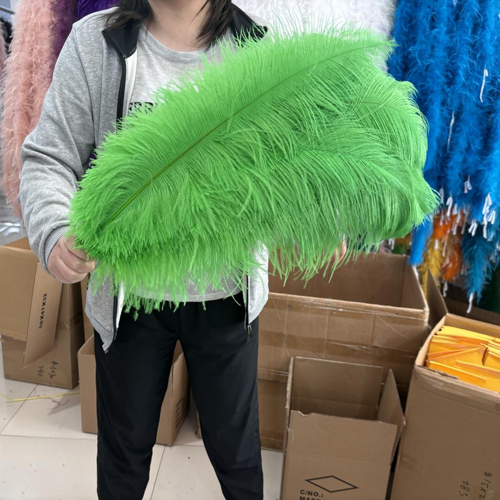 10Pcslot Natural Long Ostrich Feather Bulk 40-65CM16-26inch for Wedding Party Dining Table Center Vase Decor Home Lamp Feather