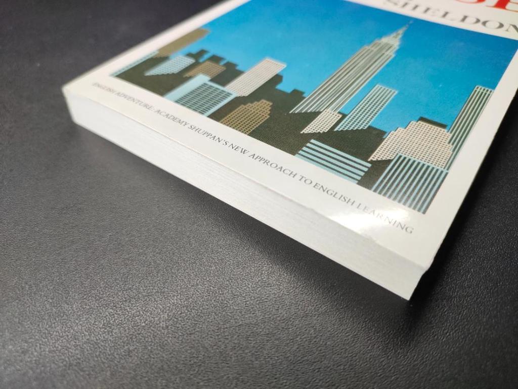 [USED] English Books THE CHASE Sidney Sheldon English Learning