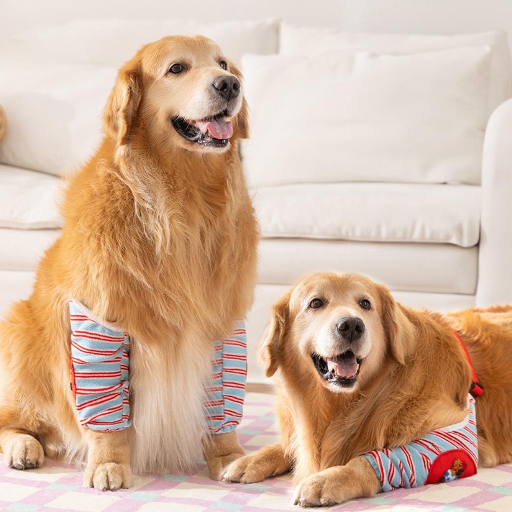 Striped Design Dog Elbow Brace Cartoon Pattern Puppy Joint Protector Dog Knee Pads Large Dogs