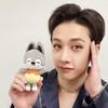Nuevos Llaveros de Muñeco de Peluche de Stray Kids Figura Colgante Llavero Encanto Soporte para Llaves Decoración de Bolso