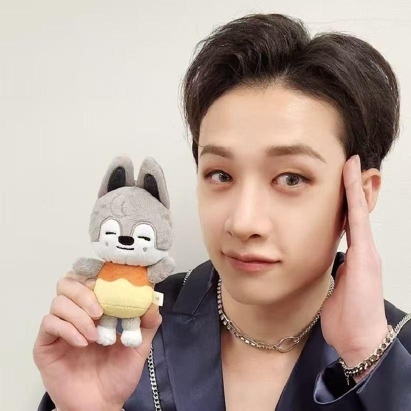 Nuevos Llaveros de Muñeco de Peluche de Stray Kids Figura Colgante Llavero Encanto Soporte para Llaves Decoración de Bolso