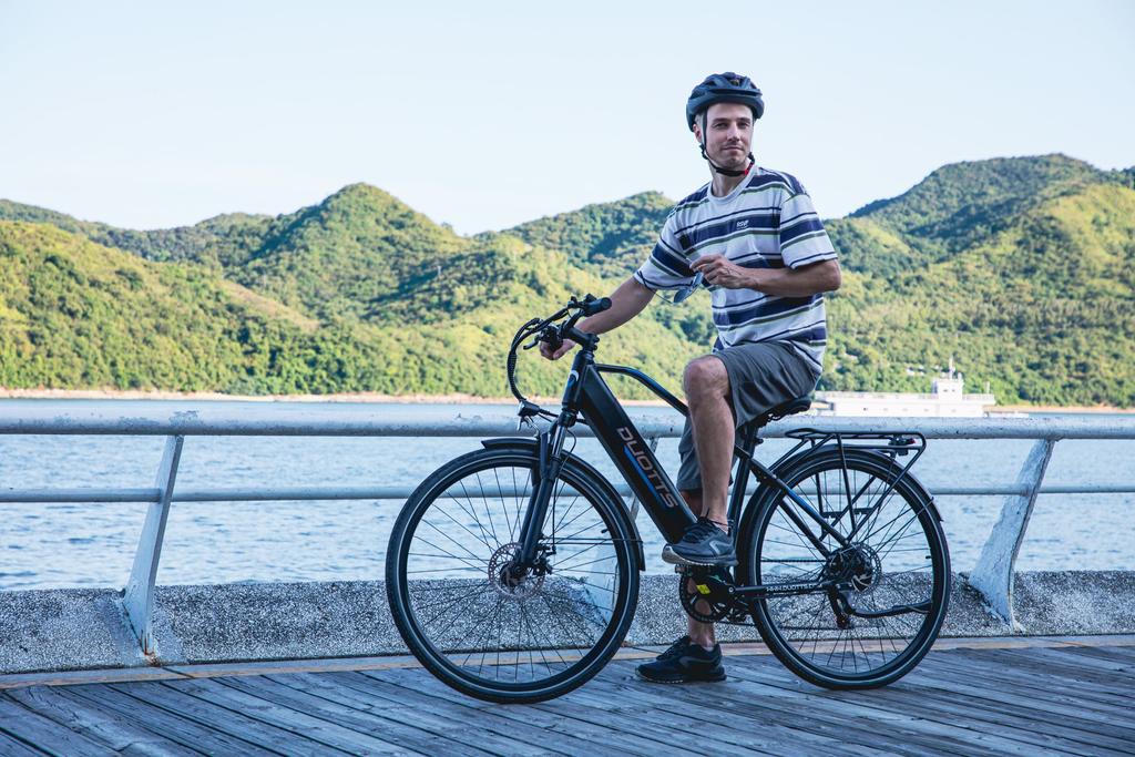 DUOTTS C29 lite E-Bike 250W Motor, 36V 13AH, Disc Brake, 27.5-Inches Puncture Resistant Tires, 65KM Range Electric Bicycle