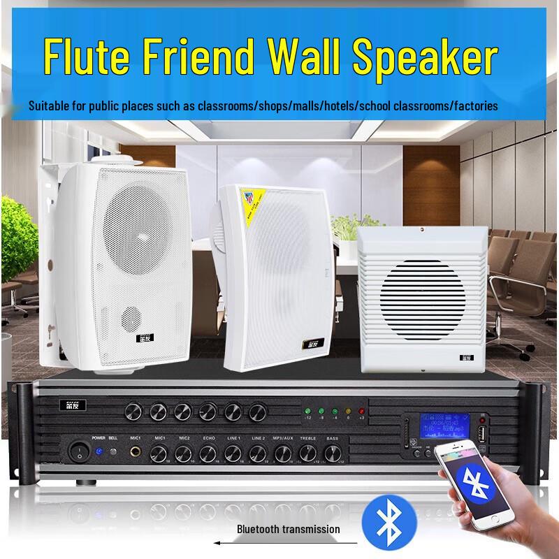 Diyou Wall-Mounted Speaker System CN Plug (adapter Included)