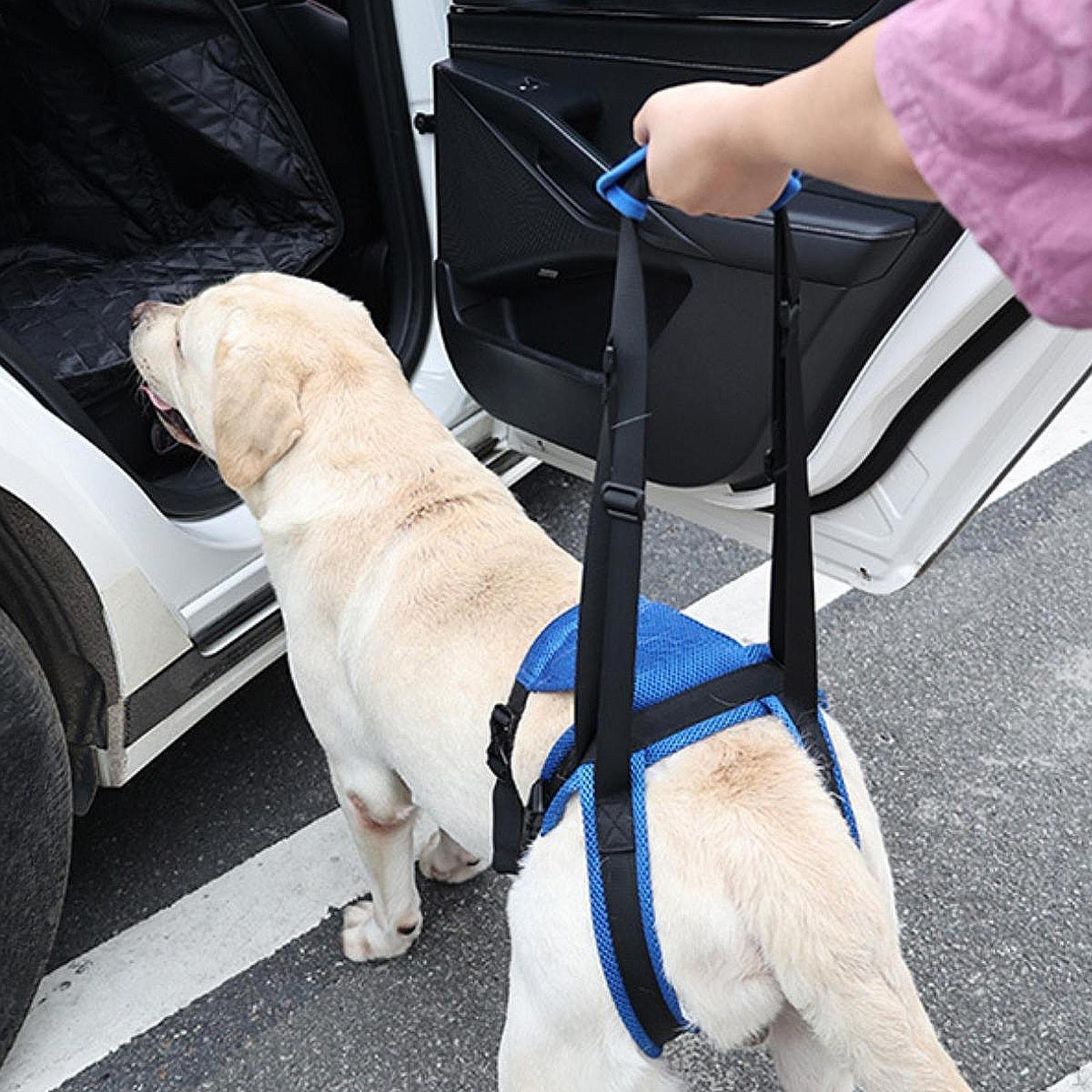 

Подъемная шлейка для собаки Вспомогательный ремень для задних лап Устойчивая к ходьбе Подъемная поддержка Помощь питомцам